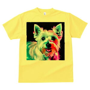 EGXgnChzCgeA TVc fB[X t@  t  vg JWA 킢 lԗp h ̃fUC ʔ EGXgnChzCgeA