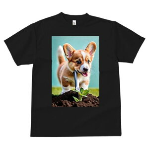 R[M[ TVc fB[X t@  t  vg JWA 킢 lԗp h ̃fUC ʔ K[fjO R[M[  A y