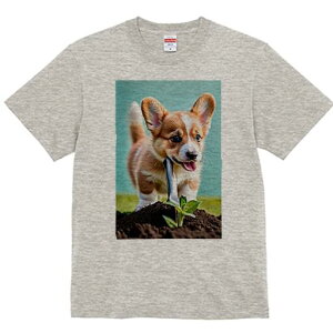 R[M[ TVc fB[X t@  t  vg JWA 킢 lԗp h ̃fUC ʔ K[fjO R[M[  A y