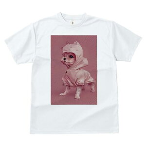 }`[Y TVc fB[X t@  t  vg JWA 킢 lԗp h ̃fUC ʔ }`[Y