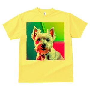 EGXgnChzCgeA TVc fB[X t@  t  vg JWA 킢 lԗp h ̃fUC ʔ EGXgnChzCgeA