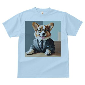 R[M[ TVc fB[X t@  t  vg JWA 킢 lԗp h ̃fUC ʔ X[c R[M[ lN^C Kl