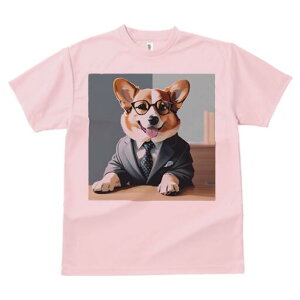 R[M[ TVc fB[X t@  t  vg JWA 킢 lԗp h ̃fUC ʔ X[c R[M[ lN^C Kl