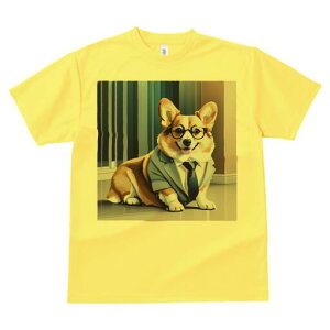 R[M[ TVc fB[X t@  t  vg JWA 킢 lԗp h ̃fUC ʔ X[c R[M[ lN^C Kl