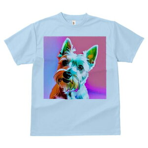 EGXgnChzCgeA TVc fB[X t@  t  vg JWA 킢 lԗp h ̃fUC ʔ EGXgnChzCgeA