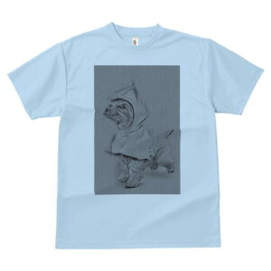 [NV[eA TVc fB[X t@  t  vg JWA 킢 lԗp h ̃fUC ʔ CR[g [NV[eA