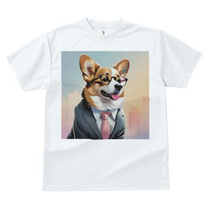 R[M[ TVc fB[X t@  t  vg JWA 킢 lԗp h ̃fUC ʔ X[c R[M[ lN^C ዾ