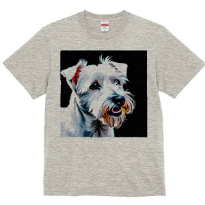 EGXgnChzCgeA TVc fB[X t@  t  vg JWA 킢 lԗp h ̃fUC ʔ  EGXgnChzCge