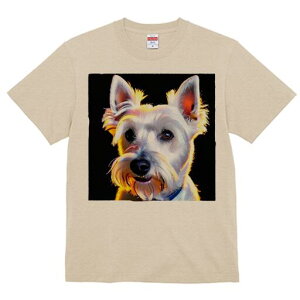 EGXgnChzCgeA TVc fB[X t@  t  vg JWA 킢 lԗp h ̃fUC ʔ ybg EGXgnChzCg