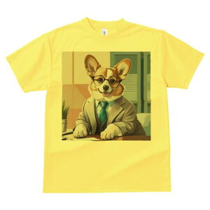 R[M[ TVc fB[X t@  t  vg JWA 킢 lԗp h ̃fUC ʔ X[c R[M[ lN^C Kl ItBX