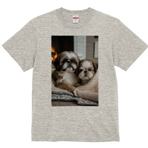 V[Y[ TVc fB[X t@  t  vg JWA 킢 lԗp h ̃fUC ʔ gF V[Y[ ѕz