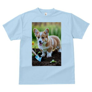 R[M[ TVc fB[X t@  t  vg JWA 킢 lԗp h ̃fUC ʔ  R[M[ y Vx 