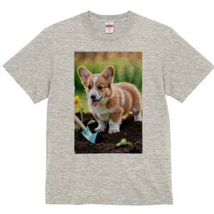 R[M[ TVc fB[X t@  t  vg JWA 킢 lԗp h ̃fUC ʔ  R[M[ y Vx 