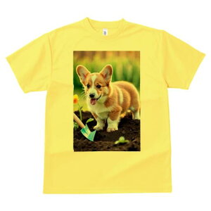 R[M[ TVc fB[X t@  t  vg JWA 킢 lԗp h ̃fUC ʔ  R[M[ y Vx 