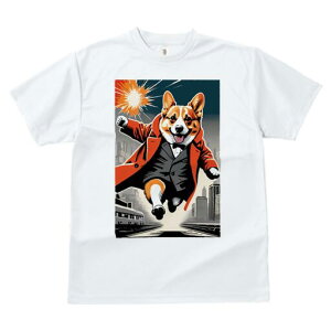 R[M[ TVc fB[X t@  t  vg JWA 킢 lԗp h ̃fUC ʔ X[c R[M[ R[g  s