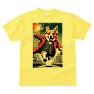 R[M[ TVc fB[X t@  t  vg JWA 킢 lԗp h ̃fUC ʔ X[c R[M[ R[g  s