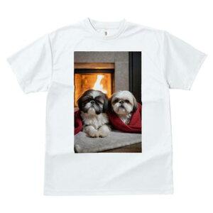 V[Y[ TVc fB[X t@  t  vg JWA 킢 lԗp h ̃fUC ʔ gF V[Y[ ѕz