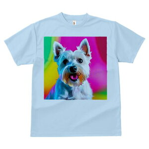 EGXgnChzCgeA TVc fB[X t@  t  vg JWA 킢 lԗp h ̃fUC ʔ EGXgnChzCgeA