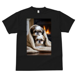 V[Y[ TVc fB[X t@  t  vg JWA 킢 lԗp h ̃fUC ʔ gF V[Y[ ѕz