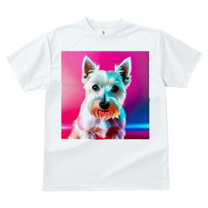 EGXgnChzCgeA TVc fB[X t@  t  vg JWA 킢 lԗp h ̃fUC ʔ EGXgnChzCgeA