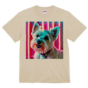 EGXgnChzCgeA TVc fB[X t@  t  vg JWA 킢 lԗp h ̃fUC ʔ lI EGXgnChzCg