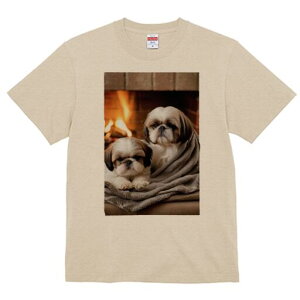 V[Y[ TVc fB[X t@  t  vg JWA 킢 lԗp h ̃fUC ʔ gF V[Y[ ѕz