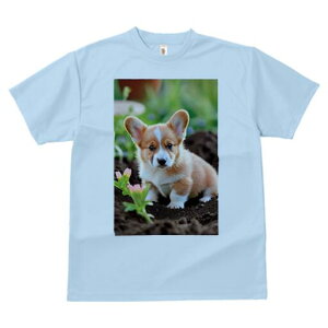 R[M[ TVc fB[X t@  t  vg JWA 킢 lԗp h ̃fUC ʔ  R[M[  y