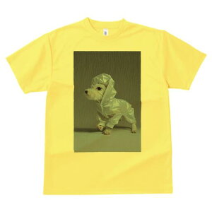 マルチーズ Tシャツ レディース 犬ファン 半袖 春夏 犬柄 プリント カジュアル かわいい 人間用 個性派 ここだけのデザイン 面白 レインコート マルチーズ 雨