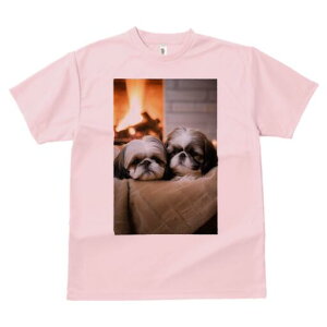 V[Y[ TVc fB[X t@  t  vg JWA 킢 lԗp h ̃fUC ʔ gF V[Y[