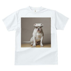 AJuhbO TVc fB[X t@  t  vg JWA 킢 lԗp h ̃fUC ʔ Kl AJuhbO