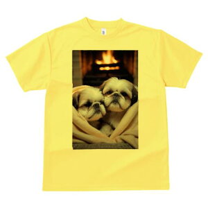 V[Y[ TVc fB[X t@  t  vg JWA 킢 lԗp h ̃fUC ʔ gF V[Y[ ѕz