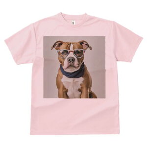 AJsbgueA TVc fB[X t@  t  vg JWA 킢 lԗp h ̃fUC ʔ Kl AJsbgueA XJ