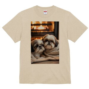 V[Y[ TVc fB[X t@  t  vg JWA 킢 lԗp h ̃fUC ʔ gF V[Y[ ѕz