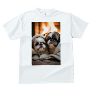 V[Y[ TVc fB[X t@  t  vg JWA 킢 lԗp h ̃fUC ʔ gF V[Y[ ѕz