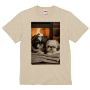 V[Y[ TVc fB[X t@  t  vg JWA 킢 lԗp h ̃fUC ʔ gF V[Y[ K