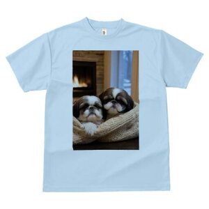 V[Y[ TVc fB[X t@  t  vg JWA 킢 lԗp h ̃fUC ʔ gF V[Y[ ~  Z[^[