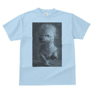 }`[Y TVc fB[X t@  t  vg JWA 킢 lԗp h ̃fUC ʔ Vc }`[Y