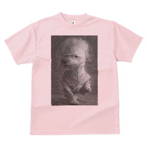 }`[Y TVc fB[X t@  t  vg JWA 킢 lԗp h ̃fUC ʔ Vc }`[Y