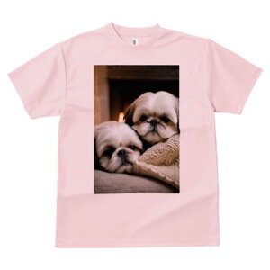 V[Y[ TVc fB[X t@  t  vg JWA 킢 lԗp h ̃fUC ʔ gF V[Y[ Z[^[