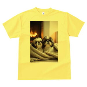 V[Y[ TVc fB[X t@  t  vg JWA 킢 lԗp h ̃fUC ʔ gF V[Y[ ѕz