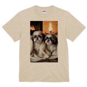 V[Y[ TVc fB[X t@  t  vg JWA 킢 lԗp h ̃fUC ʔ gF V[Y[ ѕz