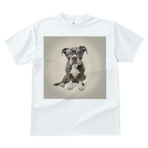 AJsbgueA TVc fB[X t@  t  vg JWA 킢 lԗp h ̃fUC ʔ Kl AJsbgueA