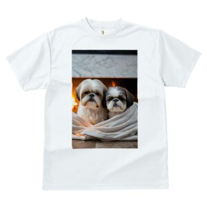 V[Y[ TVc fB[X t@  t  vg JWA 킢 lԗp h ̃fUC ʔ gF V[Y[ ѕz ~ g