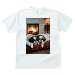 V[Y[ TVc fB[X t@  t  vg JWA 킢 lԗp h ̃fUC ʔ gF V[Y[ gF̉ ѕz NbV