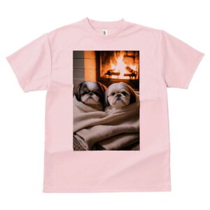 V[Y[ TVc fB[X t@  t  vg JWA 킢 lԗp h ̃fUC ʔ gF V[Y[ uPbg