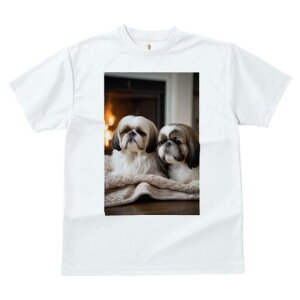 V[Y[ TVc fB[X t@  t  vg JWA 킢 lԗp h ̃fUC ʔ gF V[Y[ ѕz