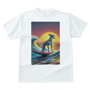 C^AO[nEh TVc fB[X t@  t  vg JWA 킢 lԗp h ̃fUC ʔ T[tB C^AO[nEh C g 