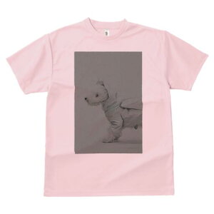 ウエストハイランドホワイトテリア Tシャツ レディース 犬ファン 半袖 春夏 犬柄 プリント カジュアル かわいい 人間用 個性派 ここだけのデザイン 面白 レインコート ウエストハイランドホ