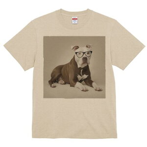 AJsbgueA TVc Y LbY t@  t  vg JWA 킢 lԗp h ̃fUC ʔ Kl AJsbgueA