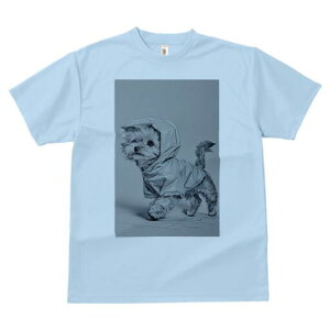 [NV[eA TVc fB[X t@  t  vg JWA 킢 lԗp h ̃fUC ʔ CR[g [NV[eA